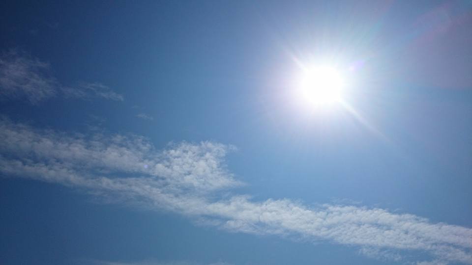 a0031454_23462242.jpg