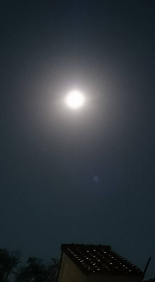 a0031454_23473388.jpg