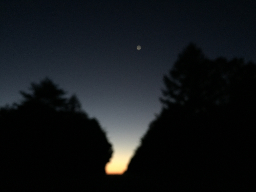 c0164354_11475000.jpg