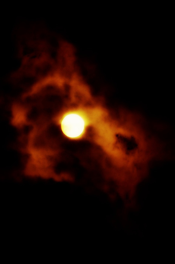 b0008655_12513334.jpg