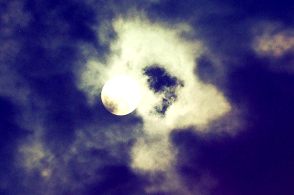 b0008655_12524739.jpg