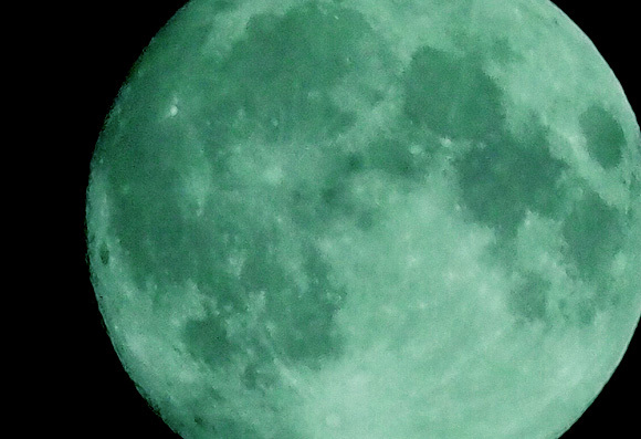 b0008655_12534420.jpg