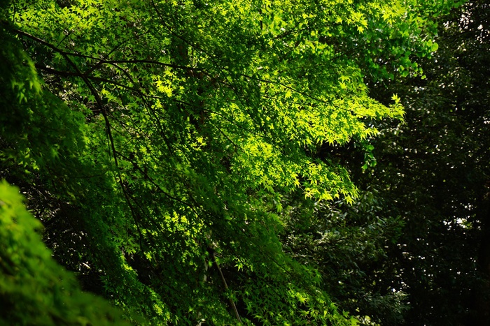 e0223456_9274516.jpg