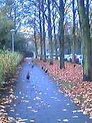 f0257756_1564549.jpg