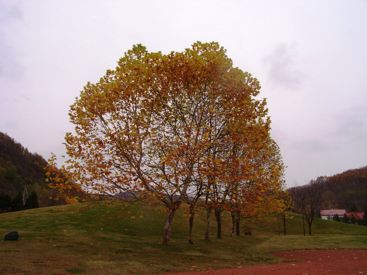 f0257756_20732.jpg
