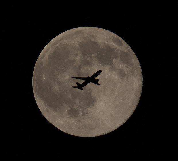 d0202960_8442039.jpg
