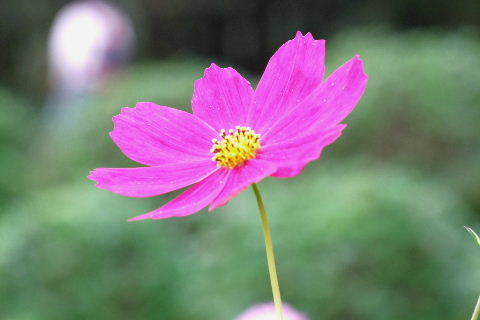 e0088260_10183075.jpg
