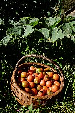 f0035962_1126308.jpg