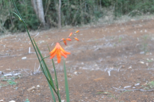 e0151566_22151839.jpg