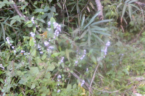 e0151566_22191860.jpg