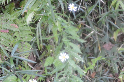 e0151566_2220132.jpg