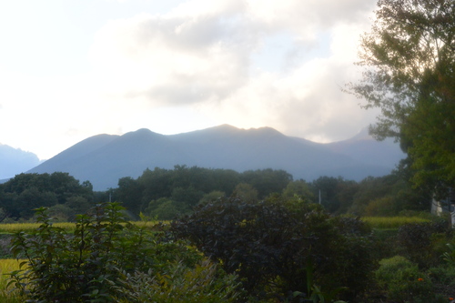 e0151566_222511.jpg