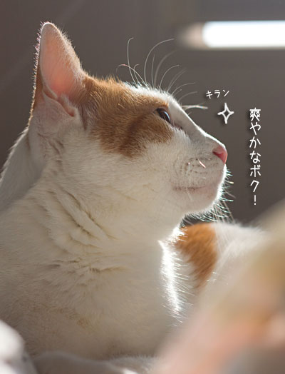 a0119470_23563930.jpg