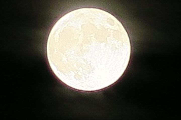 e0292172_2017732.jpg