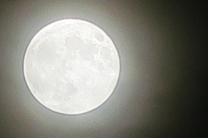 e0292172_20201011.jpg