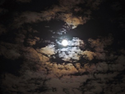 e0264374_12572593.jpg