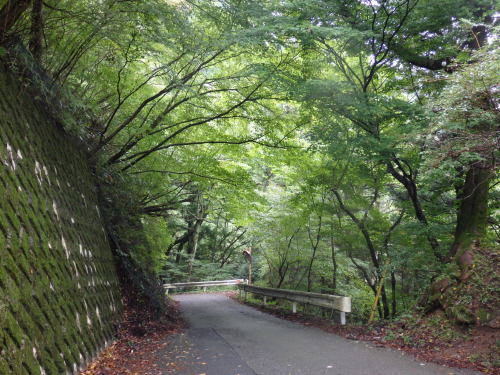 b0334084_21310311.jpg