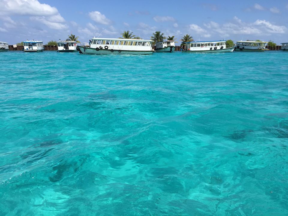 f0204584_2333317.jpg