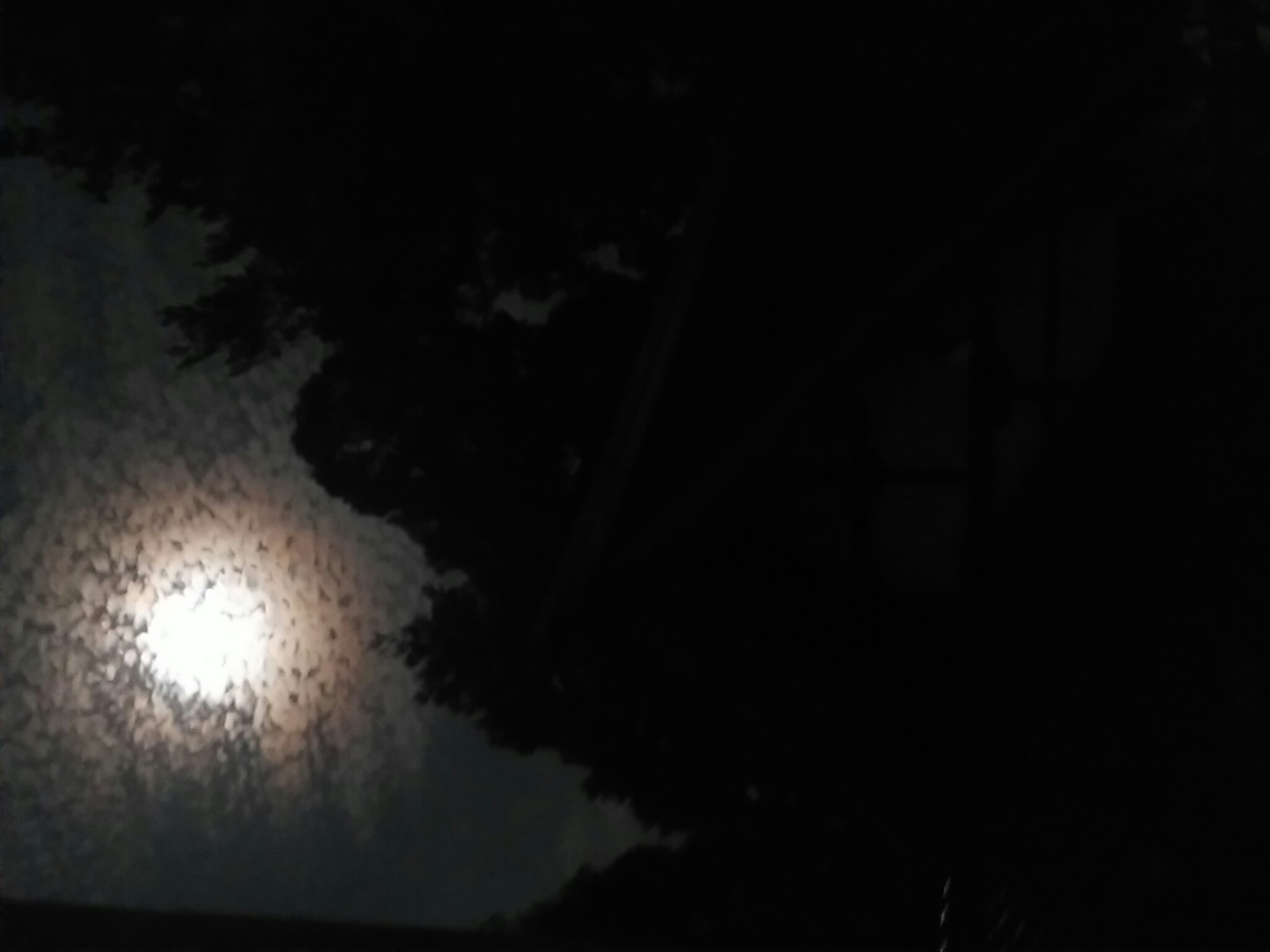 a0045193_20465279.jpg