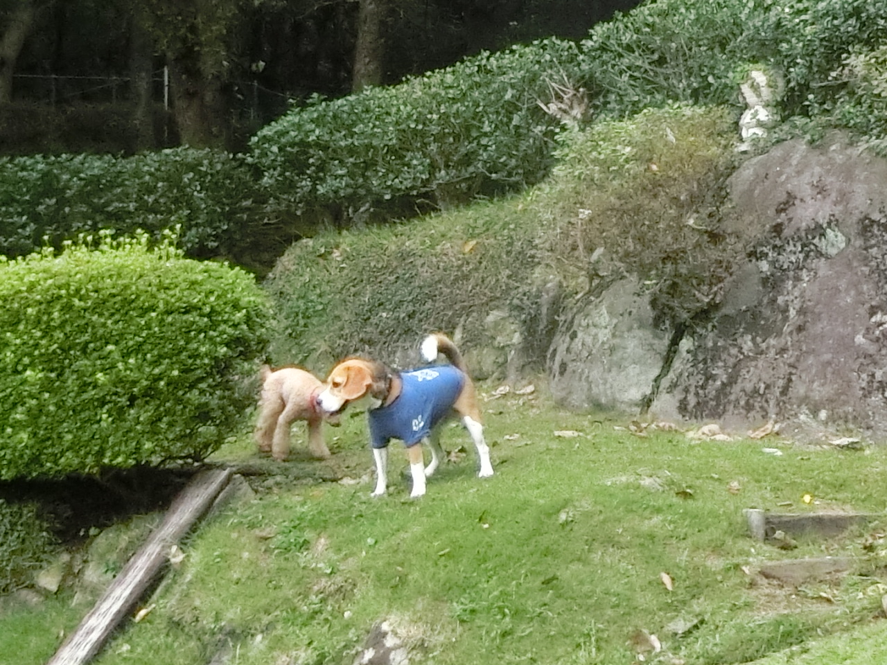 a0319693_8304755.jpg