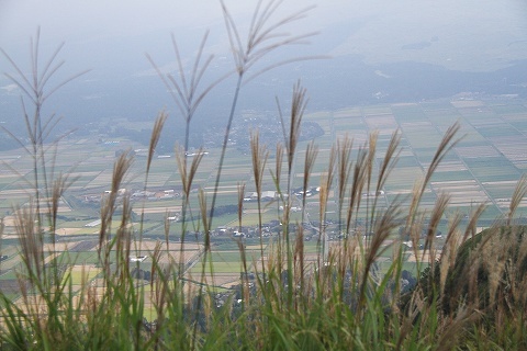 a0222494_19591428.jpg