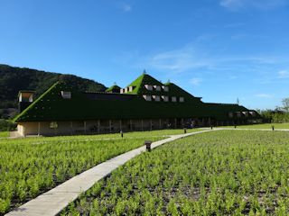 c0077697_15172628.jpg