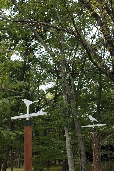 e0209997_1262252.jpg