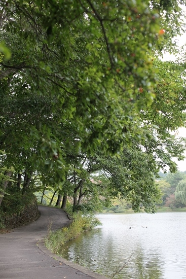 e0209997_1283290.jpg