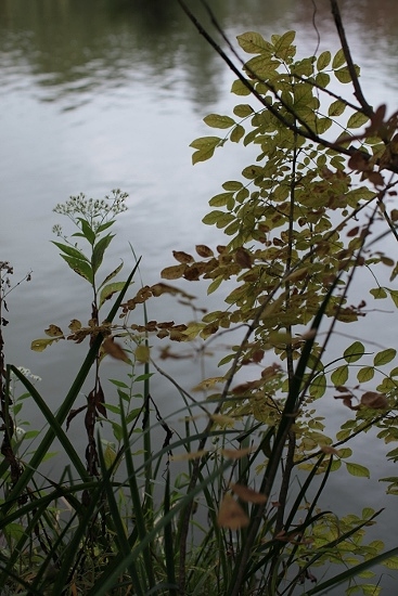 e0209997_1291918.jpg