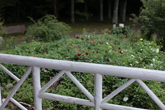e0209997_1305924.jpg