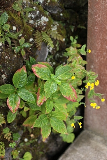 e0209997_1415188.jpg