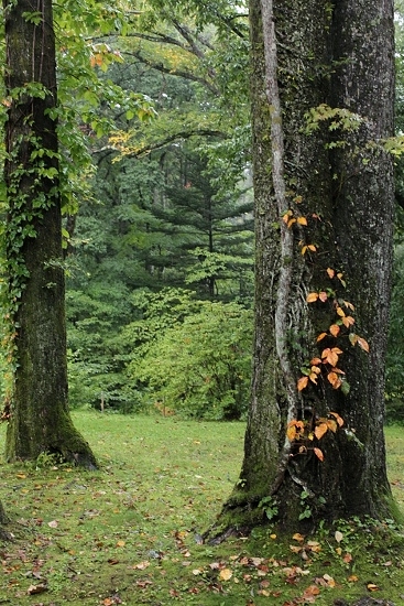 e0209997_20201177.jpg