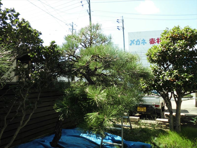 c0108198_16345254.jpg
