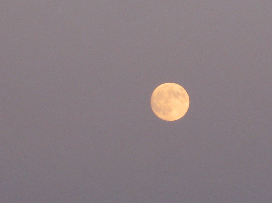f0281398_9295797.jpg