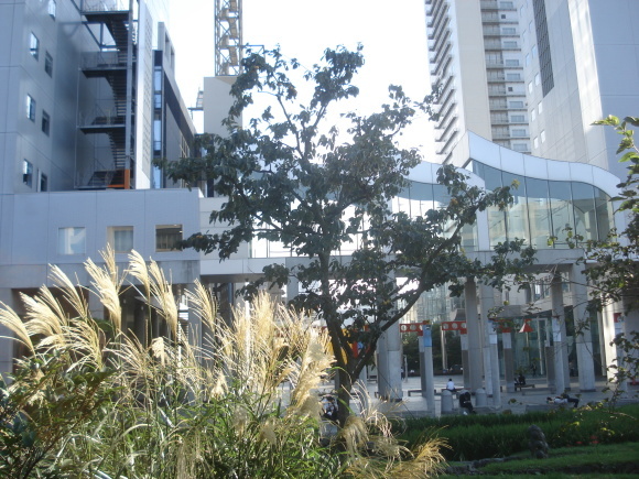 e0353802_21391197.jpg
