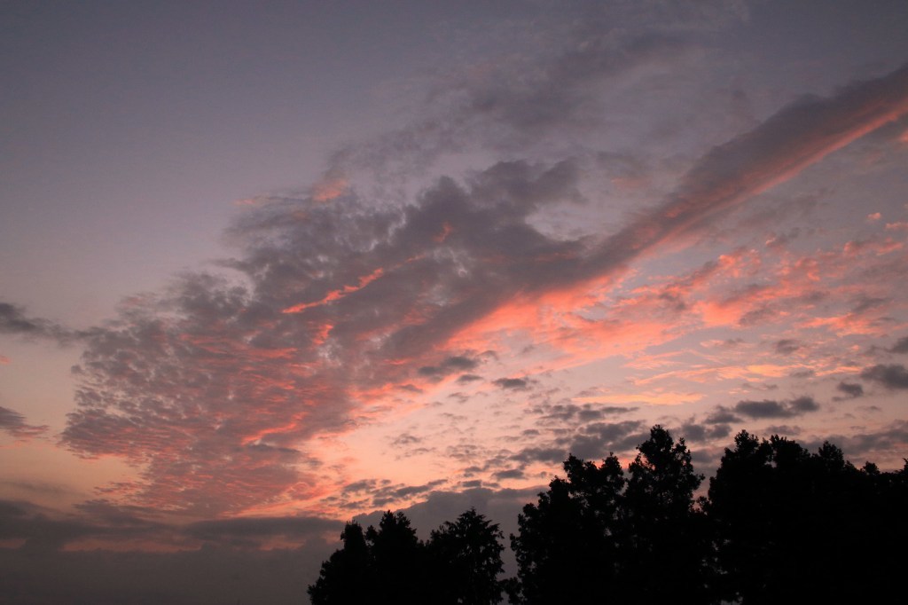 a0188405_12204708.jpg
