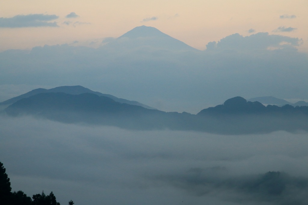 a0188405_12205535.jpg