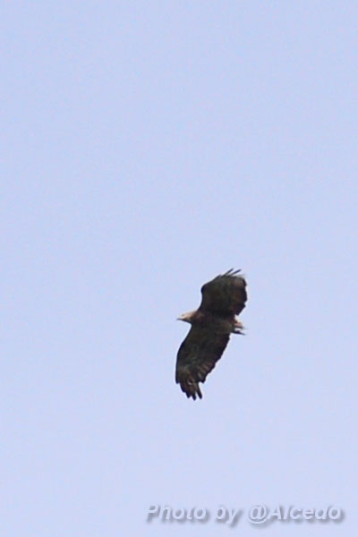 e0183106_11201568.jpg