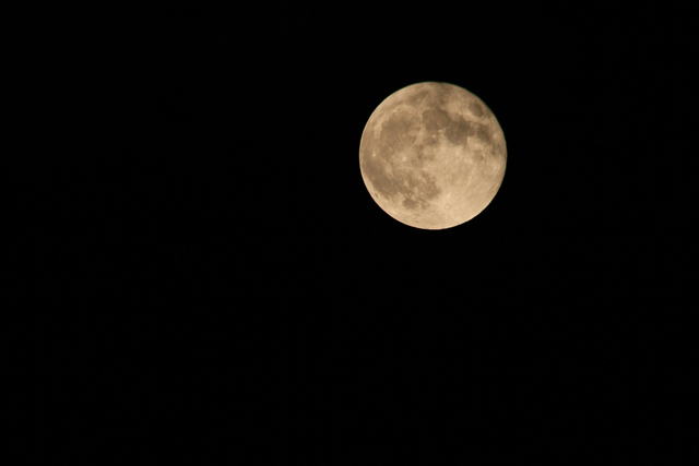 b0014607_13203479.jpg
