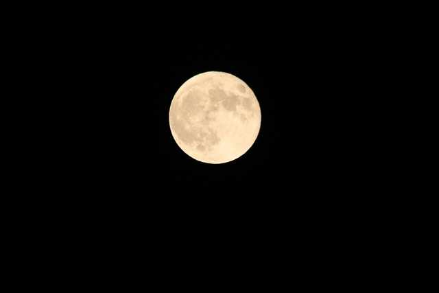 b0014607_1325691.jpg
