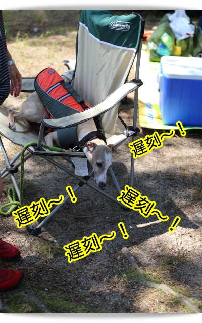 e0100007_20114486.jpg