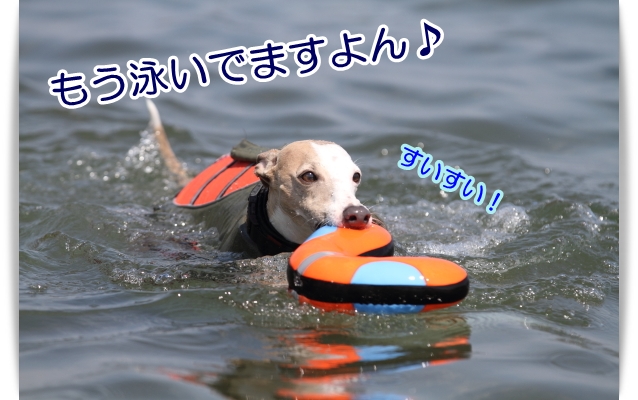 e0100007_20125657.jpg