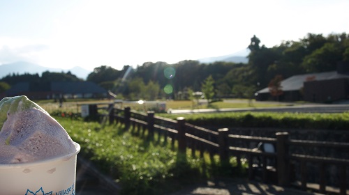 c0247614_8265470.jpg