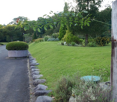 c0247614_8311995.jpg