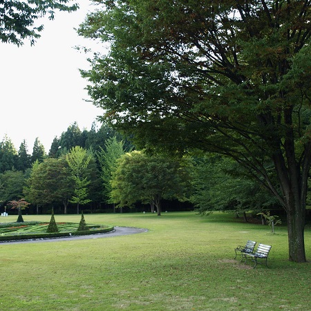 c0247614_8332271.jpg