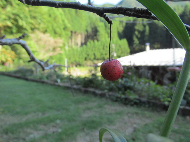 f0341616_17114397.jpg
