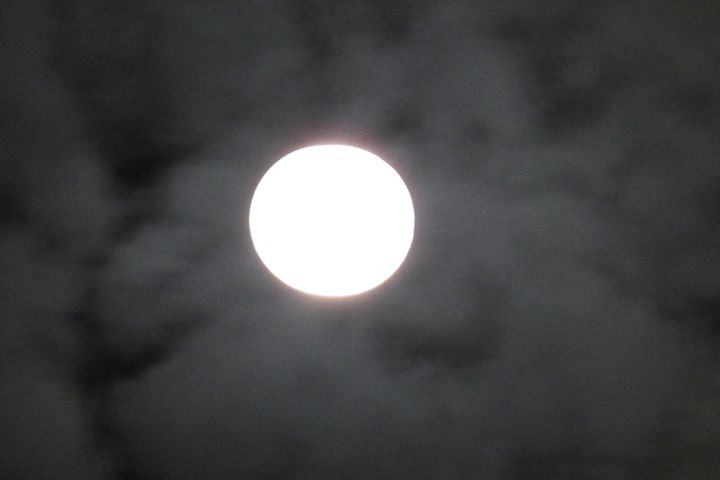 a0166324_22575840.jpg