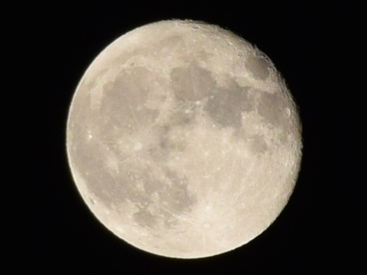 b0312230_21455798.jpg