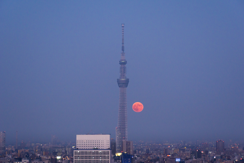 c0216331_00165463.jpg