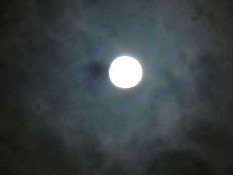 c0236632_833456.jpg